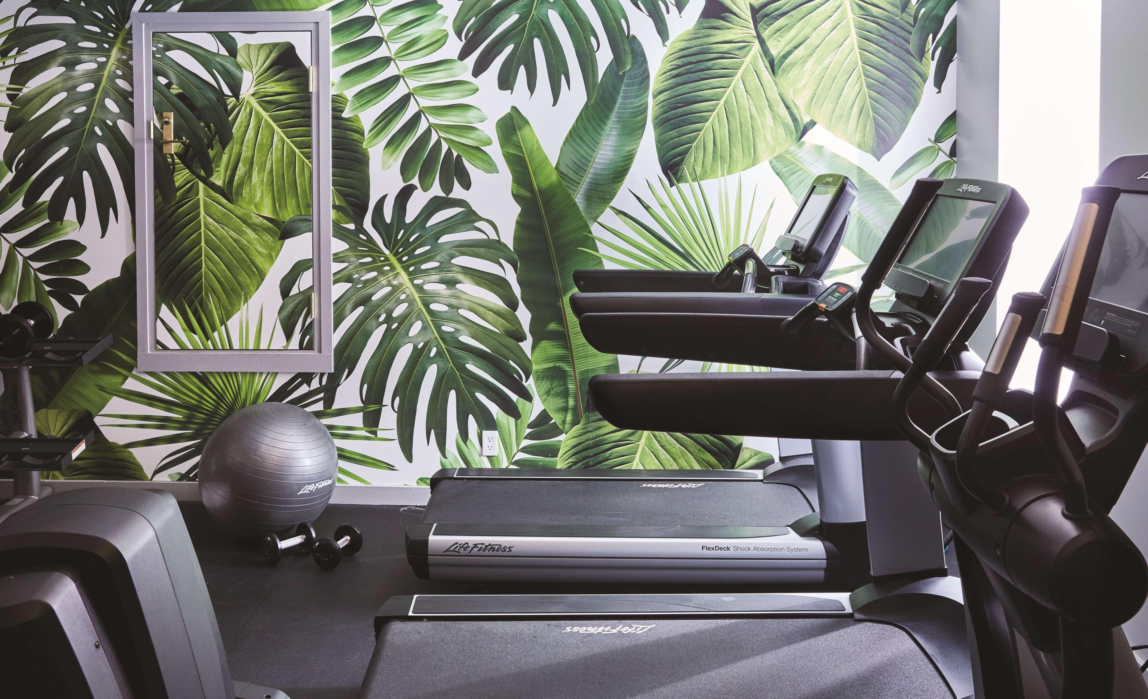 Hotel Seville Nomad, In The Unbound Collection By Hyatt New York Servizi foto